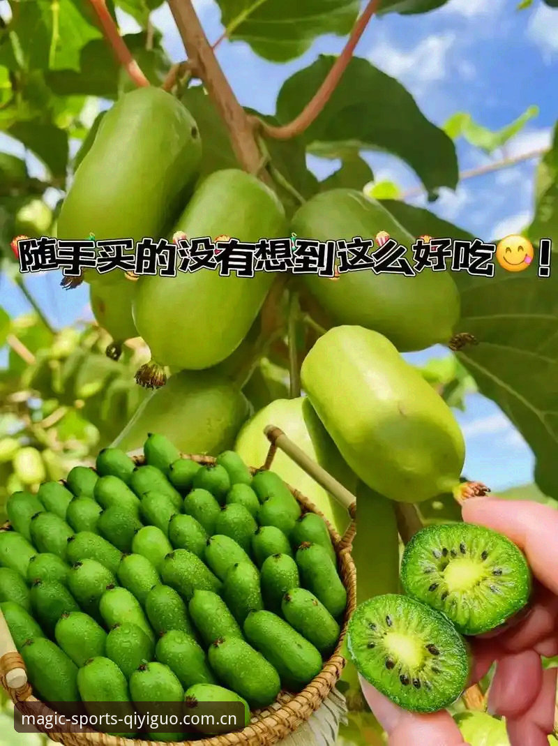 奇异果体育平台实用指南：从登录到直播的完整入门技巧